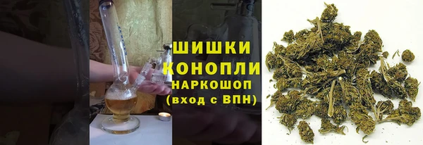 сатива Аркадак