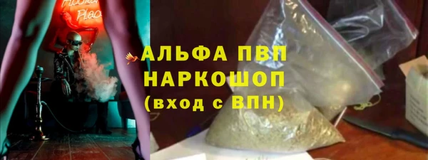 сатива Аркадак