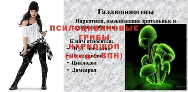 метадон Арсеньев