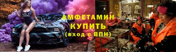 крисы Баксан