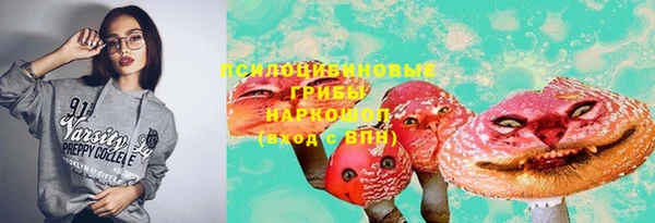 стаф Балахна
