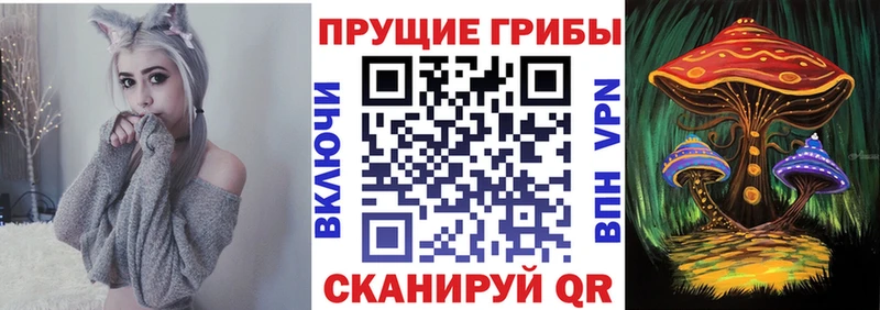 Галлюциногенные грибы GOLDEN TEACHER Вилючинск